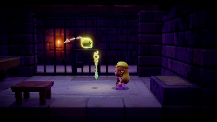 legend of zelda echoes of wisdom body